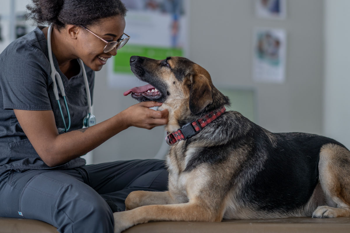 A-Friend-Indeed-1200